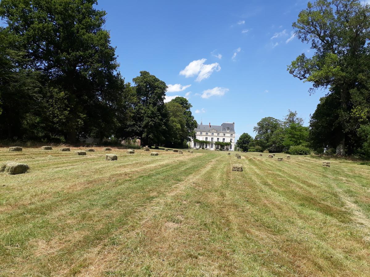 Chambres D'Hotes Chateau De La Puisaye Verneuil d'Avre et d'Iton Eksteriør bilde